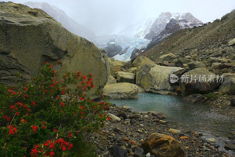 查尔滕，菲茨罗伊冰川和湖，阿根廷巴塔哥尼亚，Los Glaciares